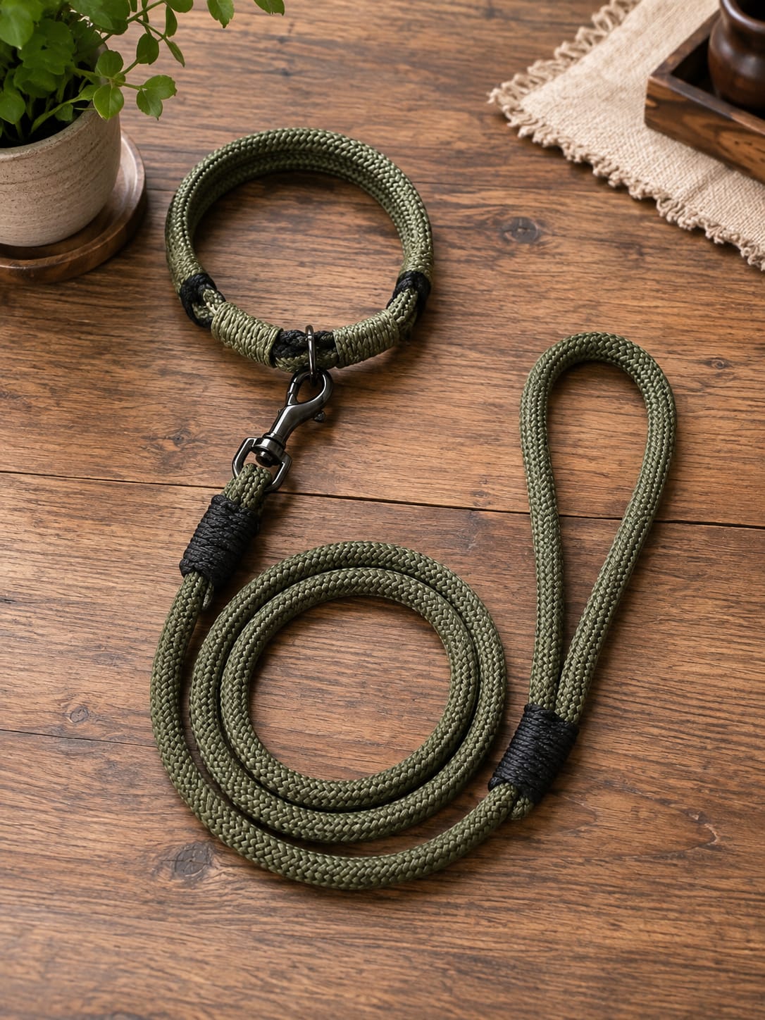 Braided Rope Dog Leash